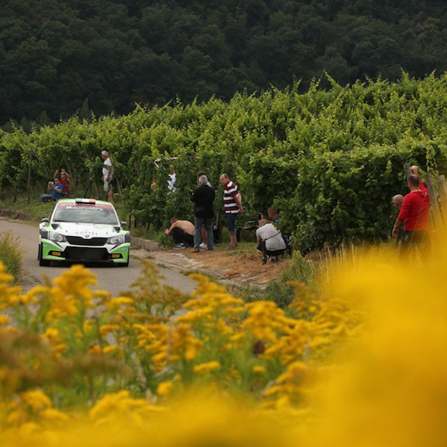 2016 Rally di Germania (WRC 2) Max Rendina