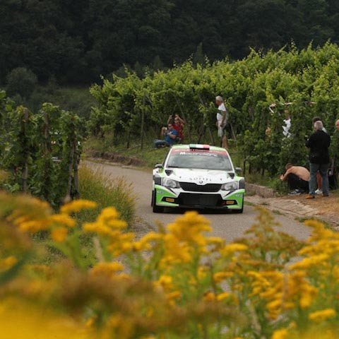 2016 Rally di Germania (WRC 2) Max Rendina