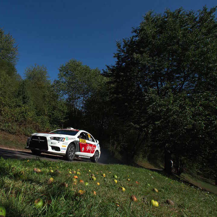 2015 Rally di Germania (WRC 2) Max Rendina